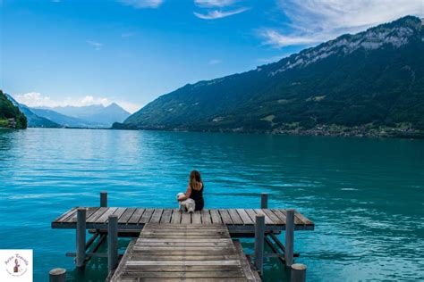 Explore Stunning Lake Brienz Switzerland Cool Places