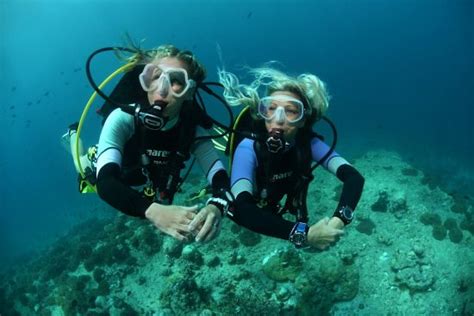 Professionals In Paradise Mares Scuba Diving Blog