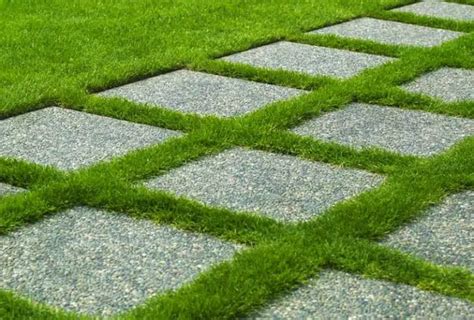Artificial Grass Between Pavers Everything You Need To Know