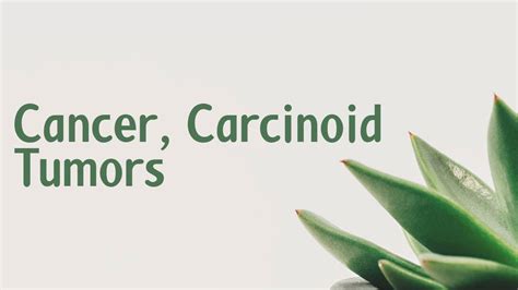 cancer carcinoid tumors symptoms causes treatment diagnosis youtube