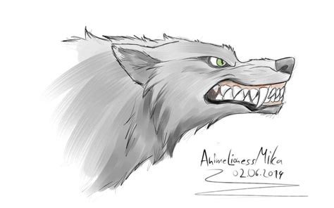 Angry Wolf Sketch By Animelionessmika On Deviantart