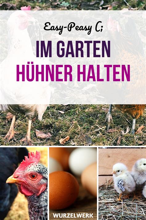 Garten weg garten garten gestalten garten landschaftsbau. Es lebe das Haushuhn! Hühner halten im Garten in 2020 ...
