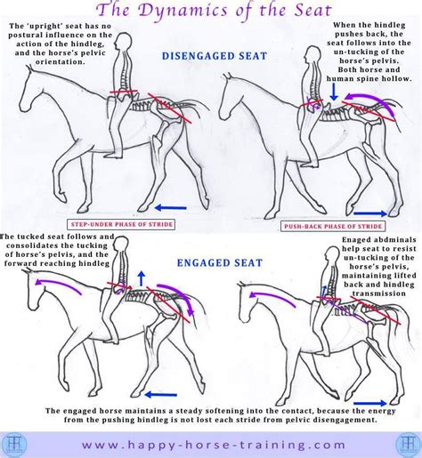 Engaged Vs Disengaged Seat Horse Riding Tips Horse Lessons