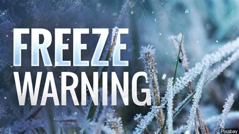Freeze Warning Tonight When Can Leave Plants Outside Pagosa Weather