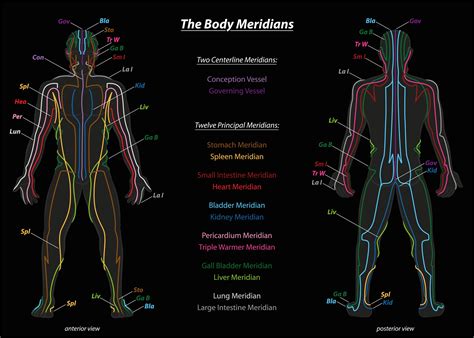 When it is just focused on your sexual organs you will be frustrated the counter force was sexual energy pulling back into our entire bodies. What is Acupuncture? | Physio Logic NYC