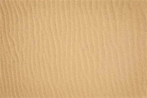 500 Sand Texture Pictures Hd Download Free Images On Unsplash