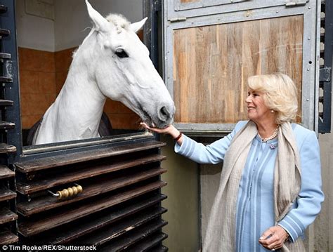 Camilla Feeds Stallion During Vienna Riding School Visit Daily Mail