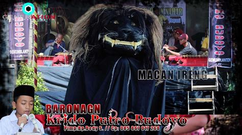 Barongan Macan Ireng Krido Putro Budoyo New 2019 Youtube