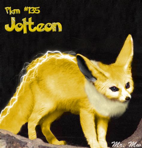 A Real Life Jolteon How Shocking By Mrmagicwand On Deviantart