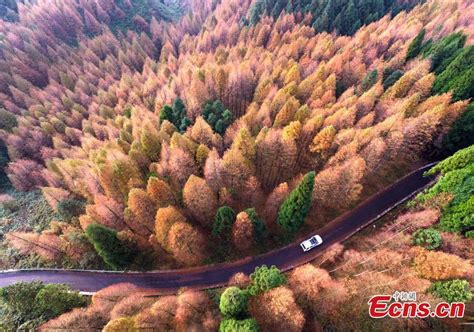 Winter Scenery In Shanwangping Karst National Eco Park In Sw China212