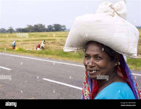 Sri Lankan Woman Hi Res Stock Photography And Images Alamy