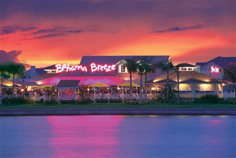 Happy Hour At Bahama Breeze Dive In Tampa Bay