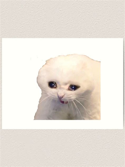 Crying Cat Meme Art Print For Sale By Masoncarr2244 Redbubble