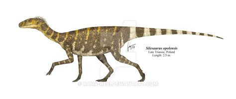Silesaurus Opolensis Dinossauros Criaturas