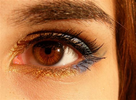Best Eyeshadow For Blue Eyes Over 50 Tookurt