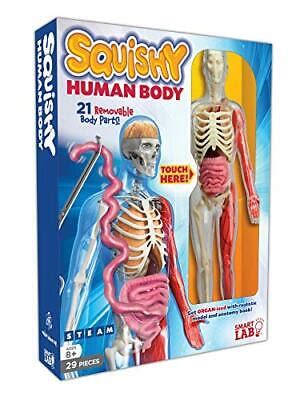 Squishy Human Body 1 | eBay