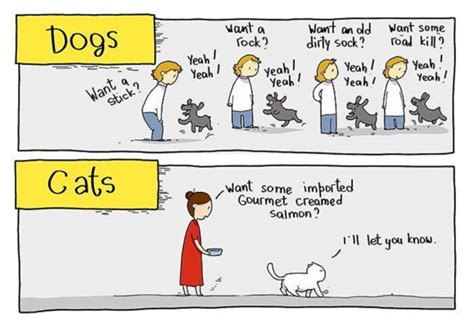Dogs Vs Cats Funny