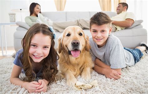 Why You Should Get A Pet For Your Children Coastalkids Orange County Ca