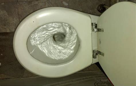 Toilet With Poop