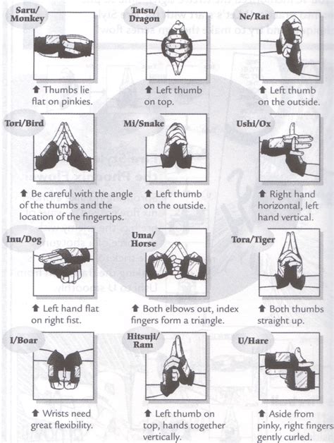 Seals In English Tv Hand Signs Are Used To Perform Many Ninjutsu Genjutsu And Other