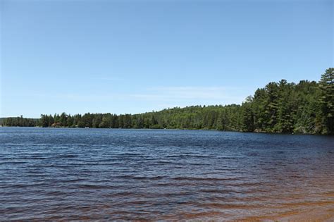 Lake Of Two Rivers In Algonquin Provincial Park Stock Photo Download