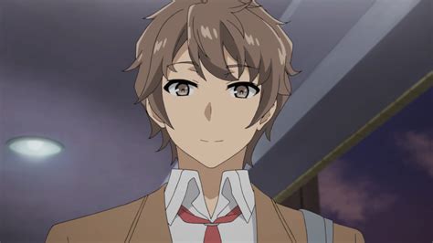 Pin On Rascal Does Not Dream Of Bunny Girl Senpai