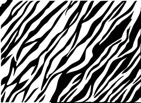 Black And White Zebra Print Background Clip Art At Vector