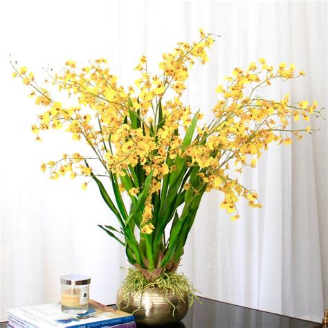 On our website everyone can order flower bouquet and do it on comfortable terms. Yellow oncidium plant from Amaranthine Blooms luxury ...