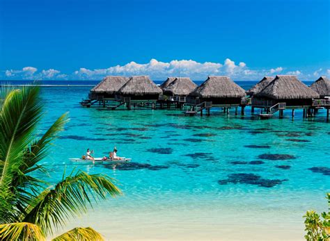 Incontournables et itinéraires, infos culturelles et pratiques, idées voyage, photos et forum. Hôtels et complexes Hilton - Polynésie française