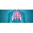 Lung Plethysmography