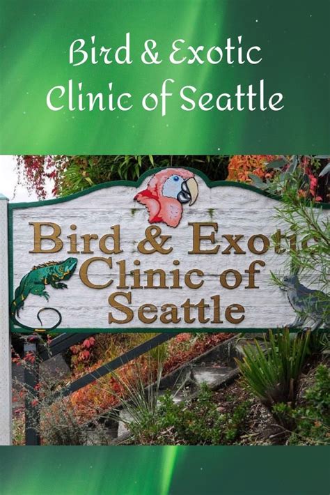 Самые новые твиты от pet and bird clinic (@petandbird): Pin on Amazing Birds, beautiful birds, bird supplies ...