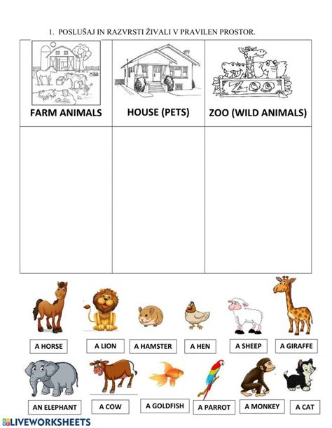 Printable Wild Animals Worksheets For Kindergarten Printable Word