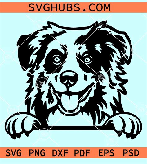 Australian Shepherd Peeking Svg Australian Shepherd Svg Aussie Svg