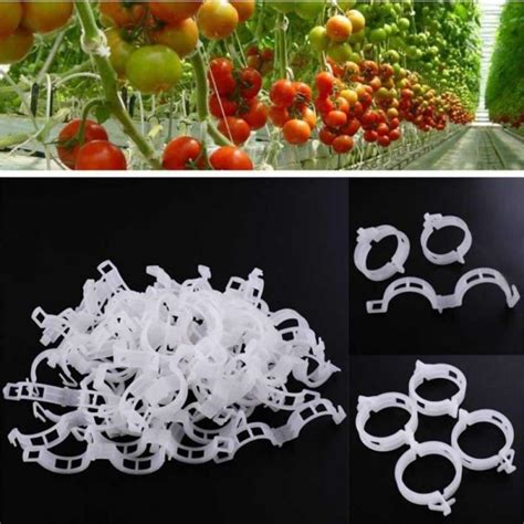 100x Plant Clips Tomato Clips Vines Twine Trellis Connects Durable