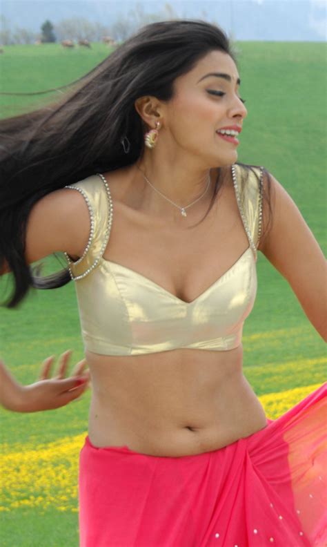 Shriya Saran Navel Show In Beautiful Bollywood Actress