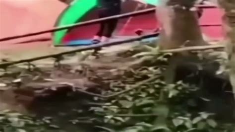Viral Dua Sejoli Diduga Mesum Dalam Tenda Di Gunung Salak Bogor Youtube