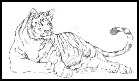 White Tiger By Izapug On Deviantart