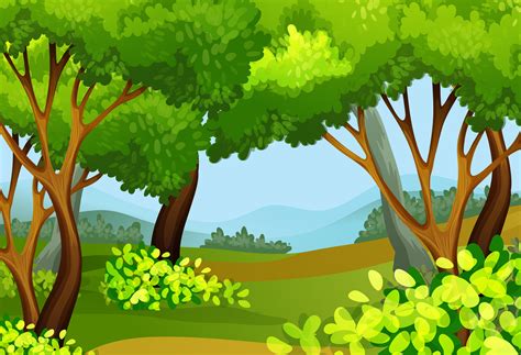 Forest scene with tall trees - Download Free Vectors, Clipart Graphics & Vector Art