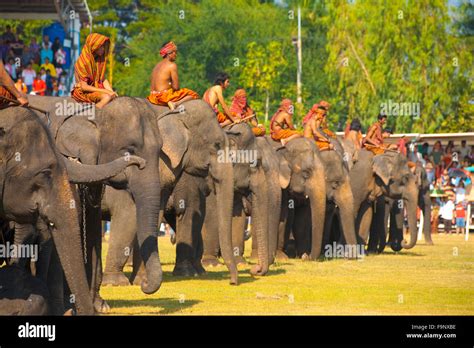 A Row Of Elephants And Their Mounted Trainers Standing Lined Up In A