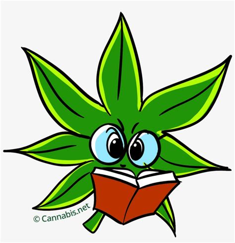 Transparent Weed  Cannabis Leaf Cartoon Transparent Png
