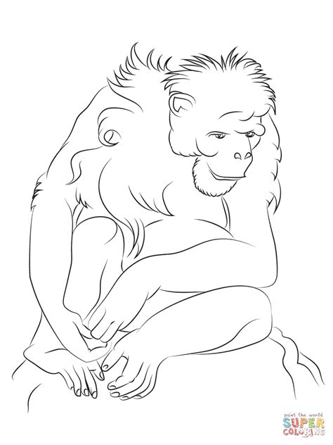 Creative Photo Of Chimpanzee Coloring Pages