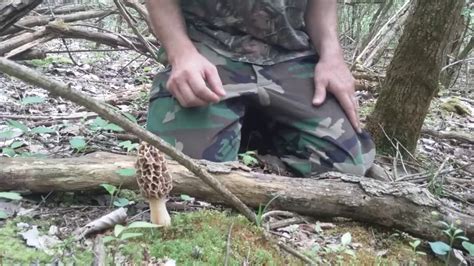 Morel Mushroom Hunting Ohio 2017 Youtube