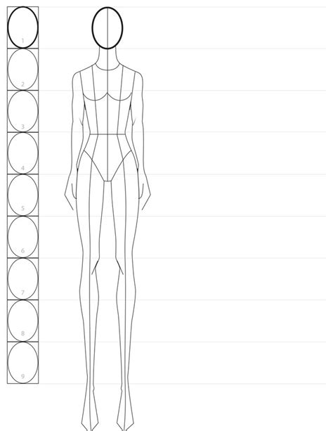 A Line Drawing Of A Female Mannequins Body And Head With Circles Around It