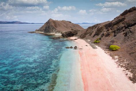 Mengapa Pink Beach Memiliki Pasir Berwarna Merah Muda Soclyfe