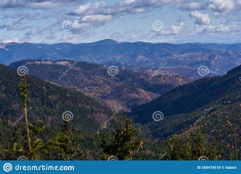 Aerial Of Mountains Covered In Forests Stock Photo Image Of Alpine