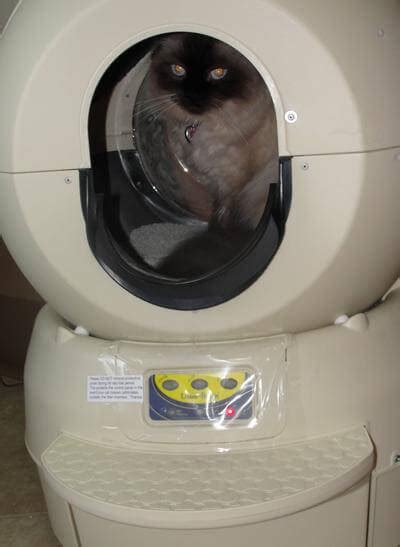 The Litter Robot The Self Cleaning Litter Box That Makes Your Life