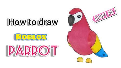 How To Draw A Parrot Roblox Adopt Me Pet Cute Drawings Youtube