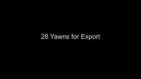 28 Yawns For Export