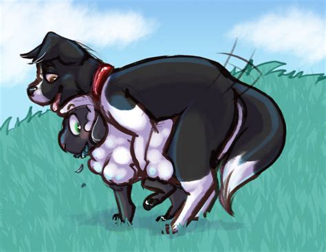 Rule 34 Blush Canine Caprine Collar Duo Female Feral Feral On Feral
