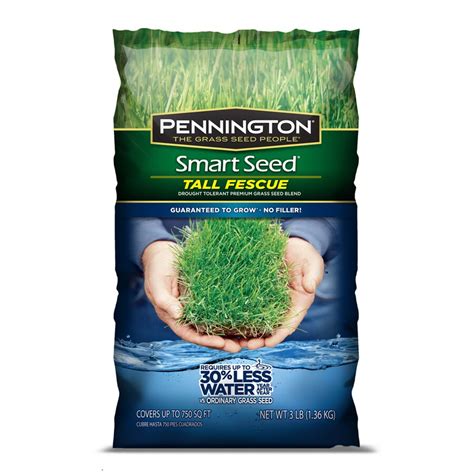 Shop Pennington Smart Seed 3 Lb Tall Fescue Grass Seed At